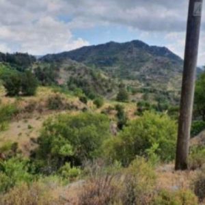 3,566m² Plot for Sale in Agros, Limassol District