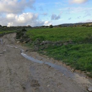 6,689m² Plot for Sale in Anogyra, Limassol District