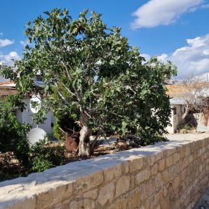 577m² Plot for Sale in Limassol – Αgios Athanasios