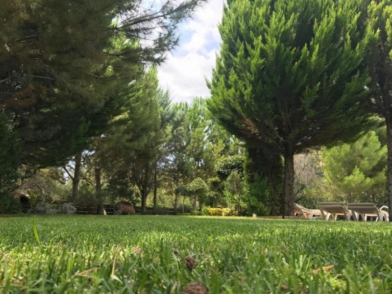 6+ Bedroom House for Sale in Koilani, Limassol District