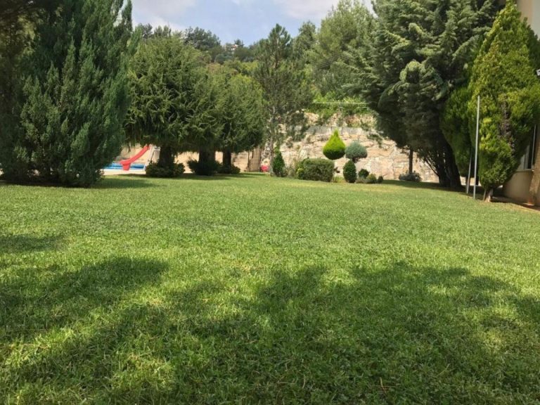 6+ Bedroom House for Sale in Koilani, Limassol District