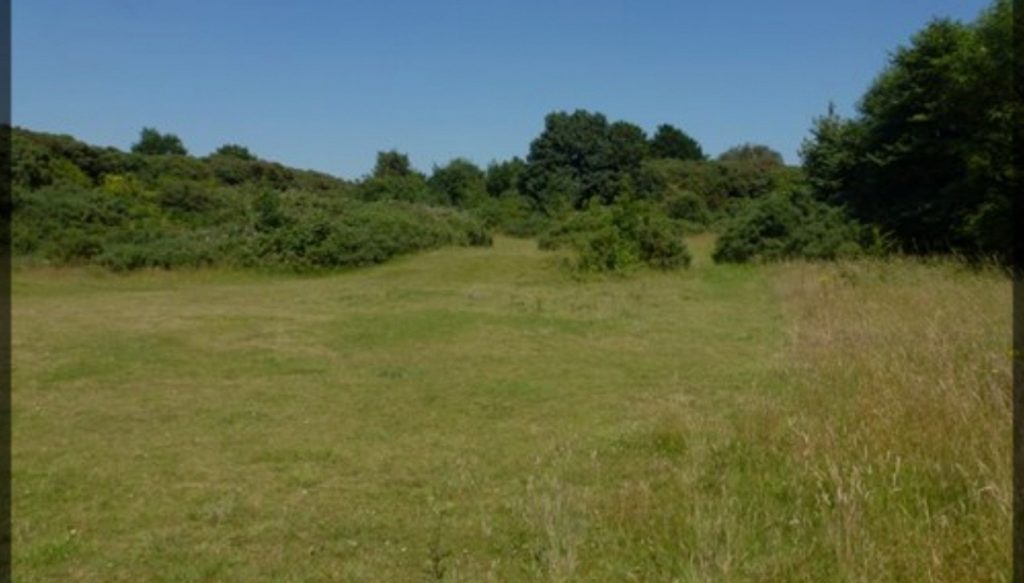 24,081m² Plot for Sale in Kathikas, Paphos District