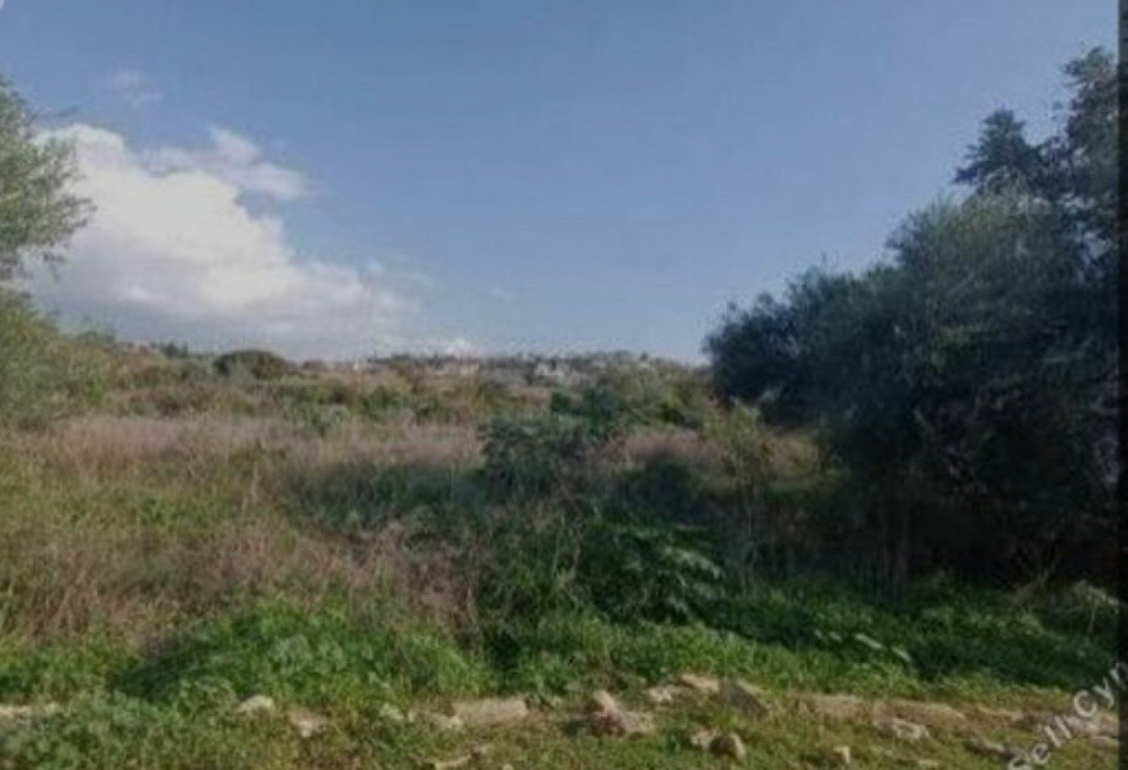 5,937m² Plot for Sale in Polemi, Paphos District