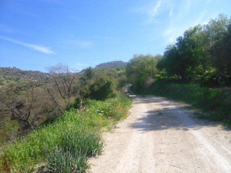 3,549m² Plot for Sale in Amargeti, Paphos District