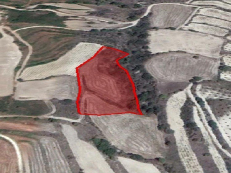 7,693m² Plot for Sale in Drymou, Paphos District