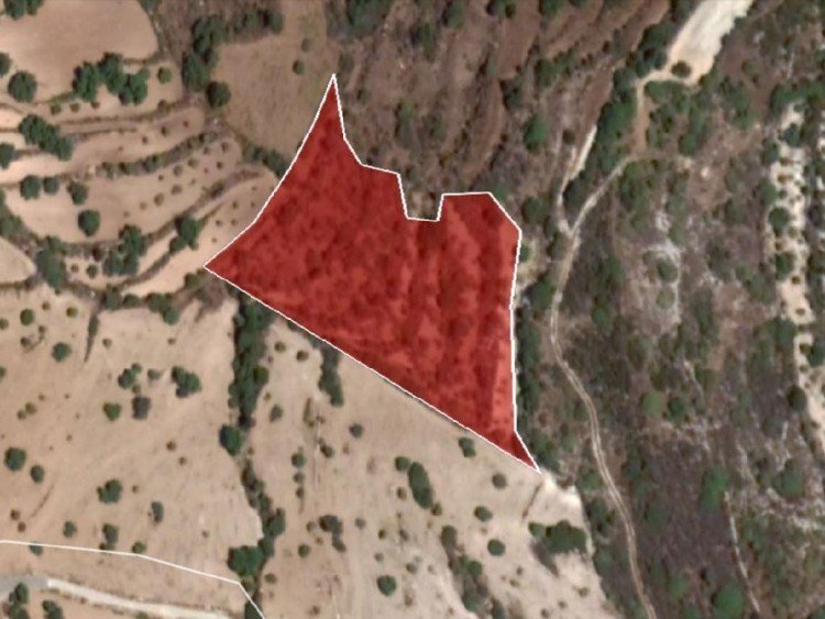 6,689m² Plot for Sale in Koili, Paphos District