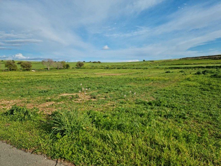 5,039m² Plot for Sale in Anarita, Paphos District