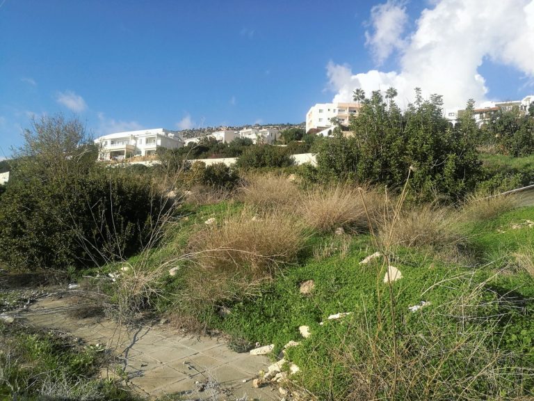 532m² Plot for Sale in Peyia, Paphos District