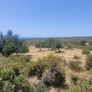Plot for Sale in Limassol District