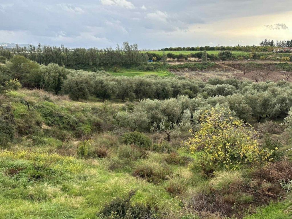 2,610m² Plot for Sale in Nikokleia, Paphos District