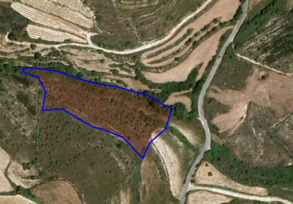 8,027m² Plot for Sale in Kathikas, Paphos District
