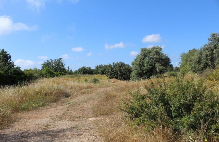 2,869m² Plot for Sale in Aphrodite Hills, Paphos District