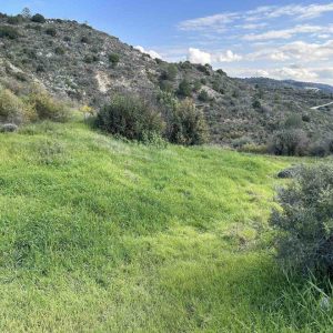 13,960m² Plot for Sale in Steni, Paphos District