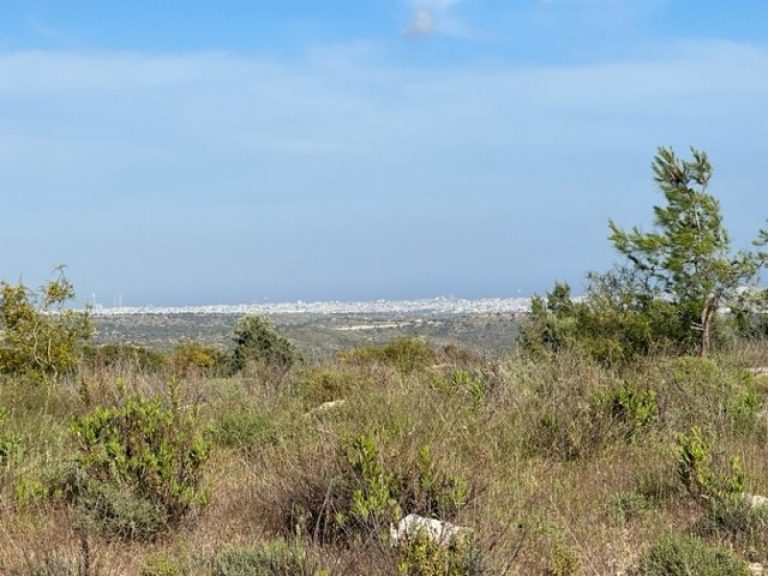 15,051m² Plot for Sale in Paramali, Limassol District