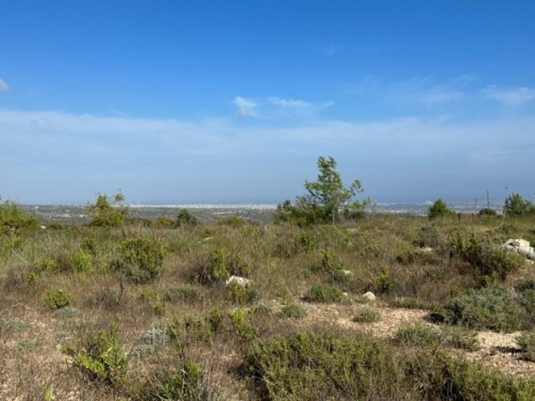 15,051m² Plot for Sale in Paramali, Limassol District