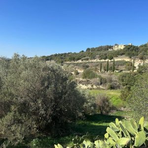 1,673m² Plot for Sale in Psathi, Paphos District