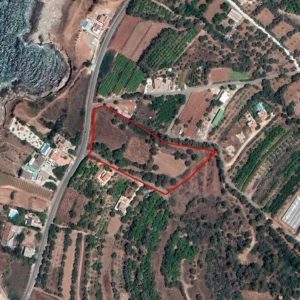 10,374m² Plot for Sale in Nea Dimmata, Paphos District