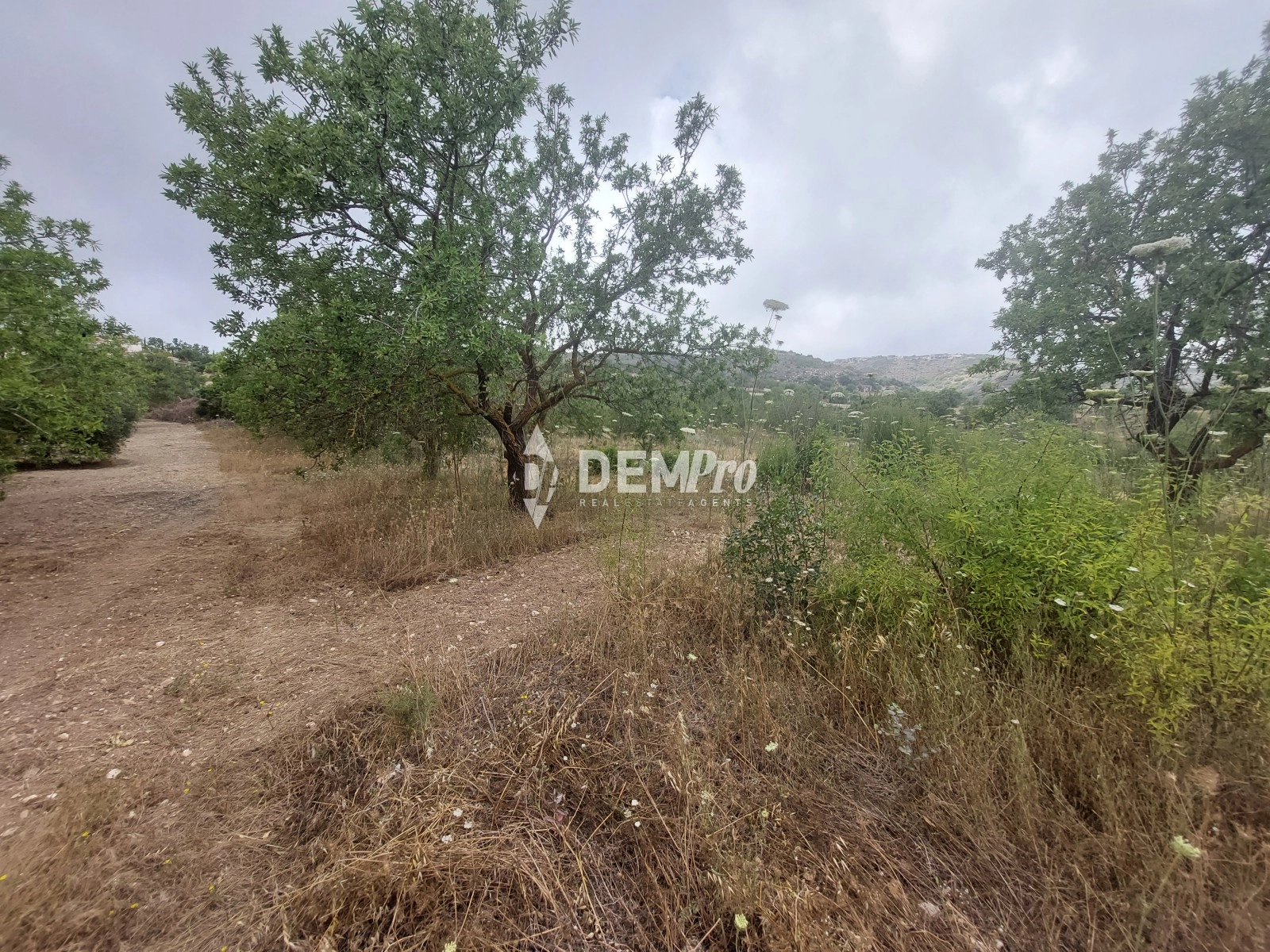 2,970m² Plot for Sale in Armou, Paphos District