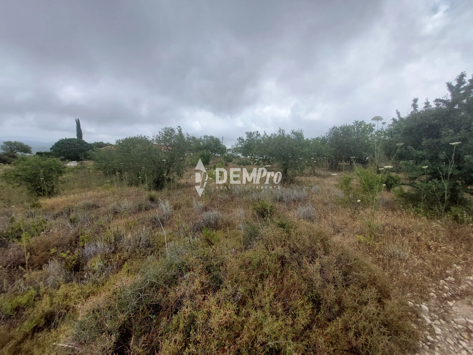 2,970m² Plot for Sale in Armou, Paphos District