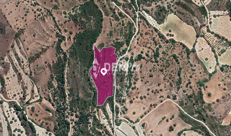 9m² Plot for Sale in Choulou, Paphos District