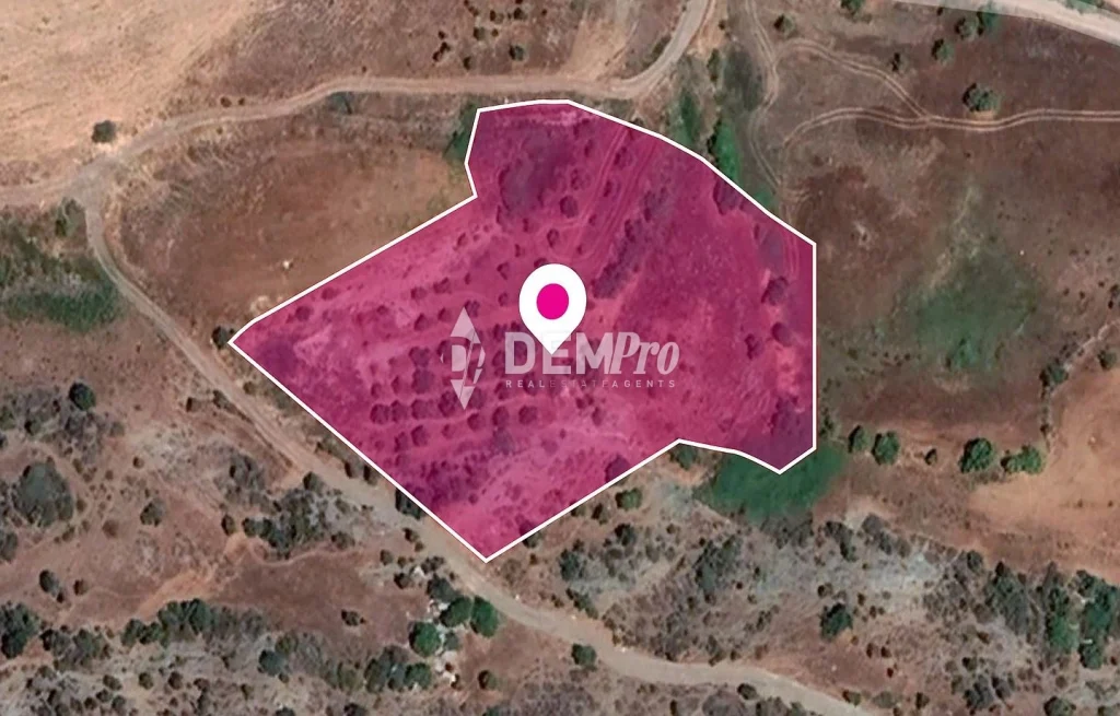 7,358m² Plot for Sale in Nata, Paphos District