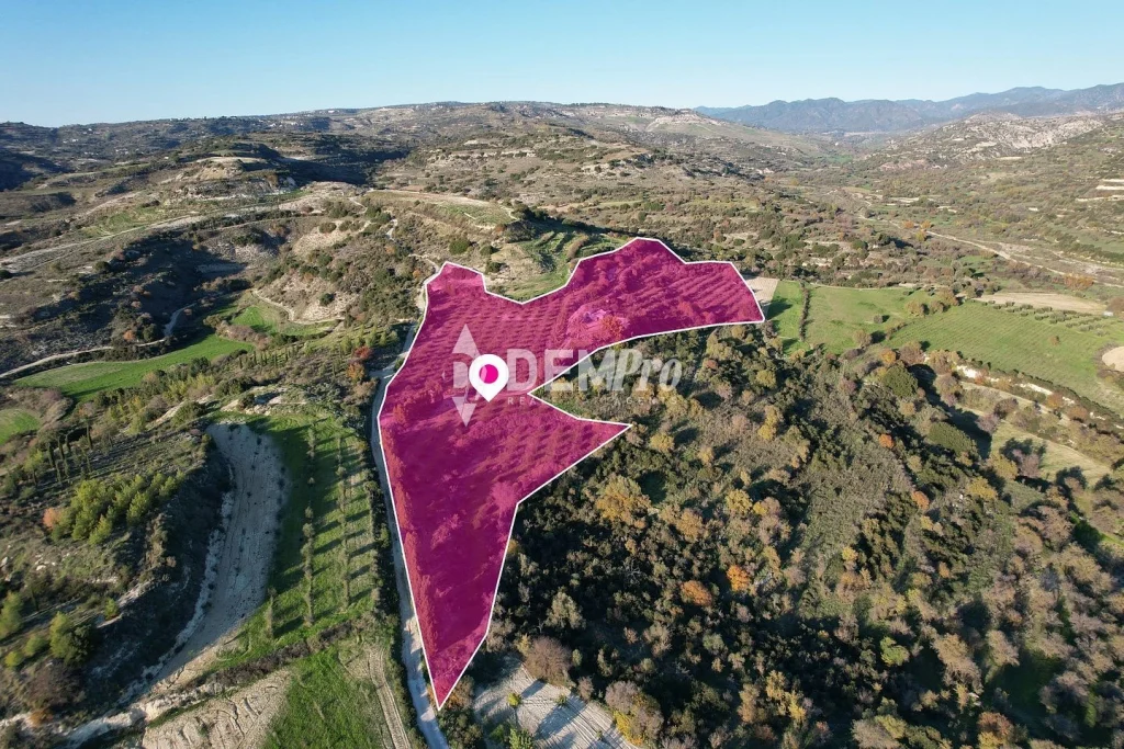26,273m² Plot for Sale in Choulou, Paphos District