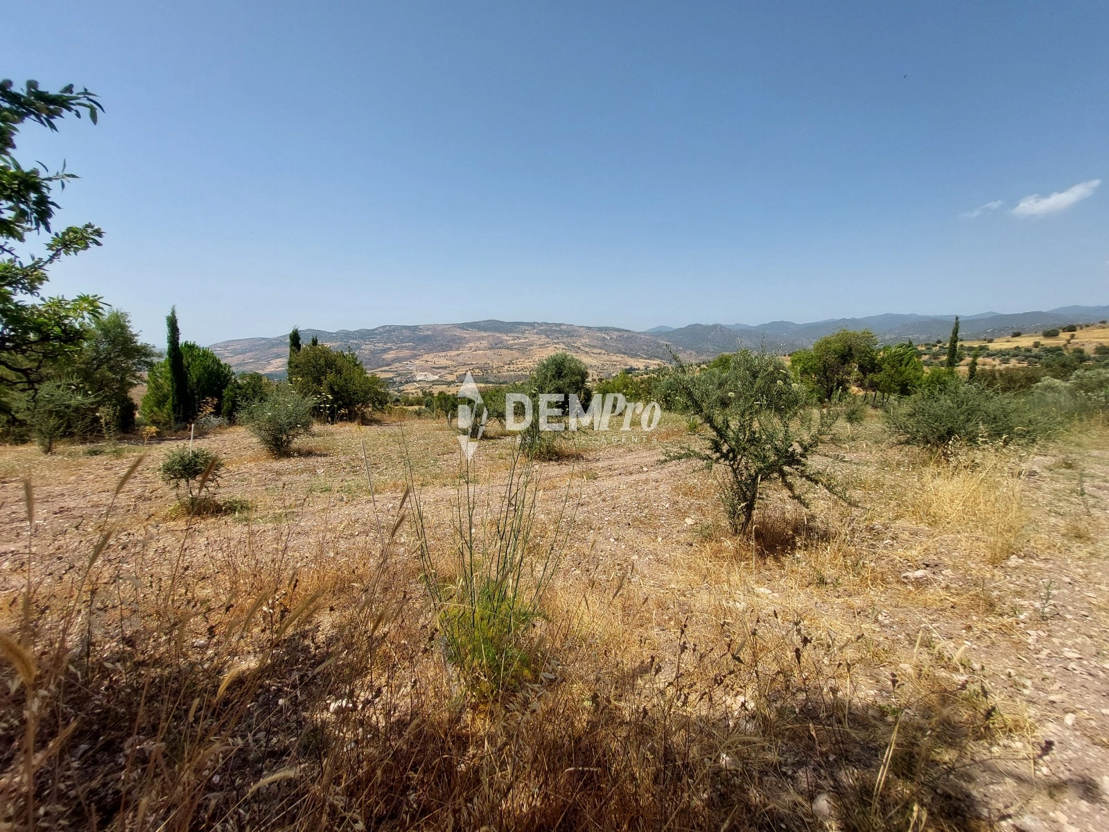 7,020m² Plot for Sale in Lasa, Paphos District