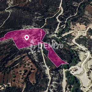 24,610m² Plot for Sale in Koili, Paphos District