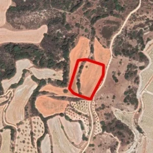 7,024m² Plot for Sale in Lemona, Paphos District