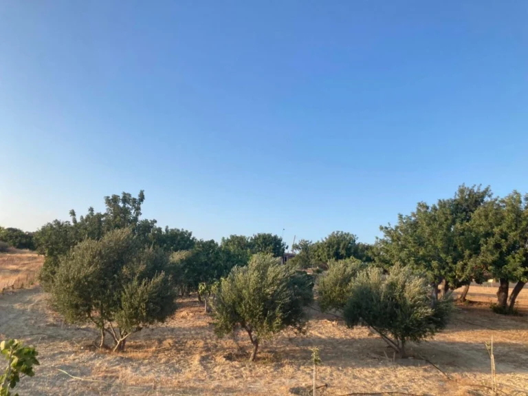 7,358m² Plot for Sale in Prastio Avdimou, Limassol District