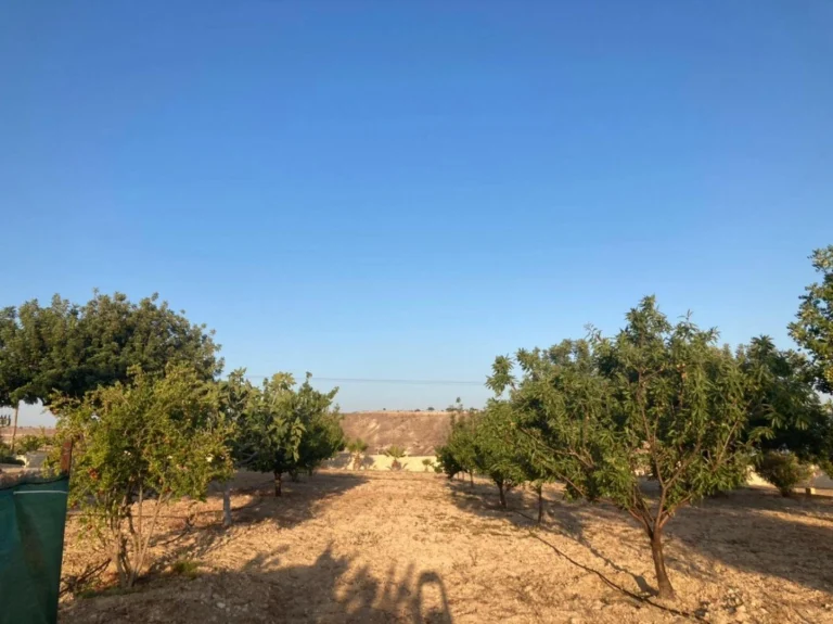 7,358m² Plot for Sale in Prastio Avdimou, Limassol District