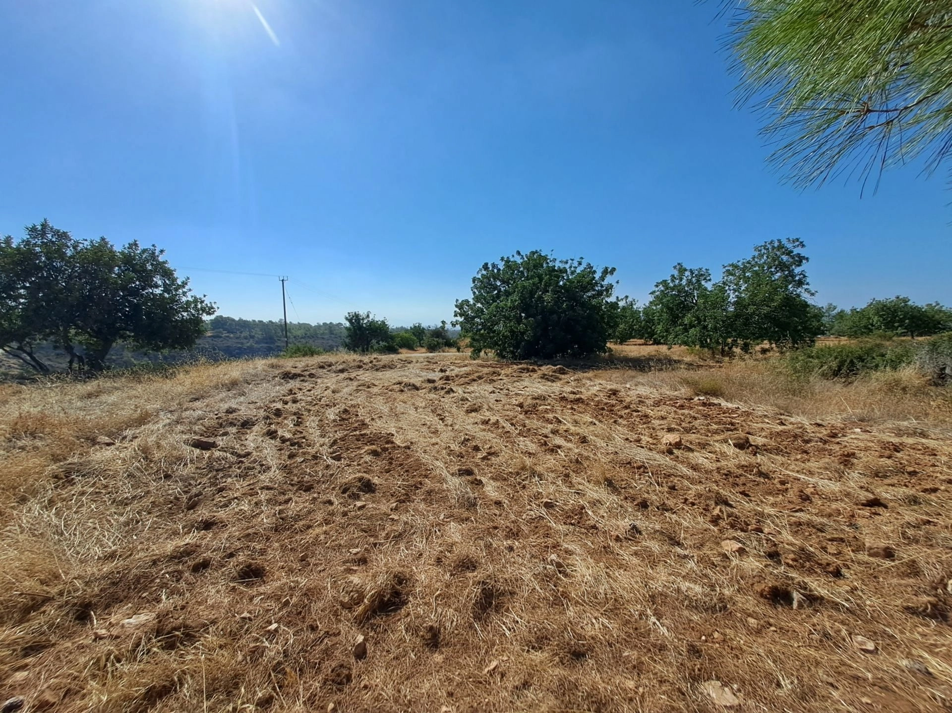 4,000m² Plot for Sale in Limassol District