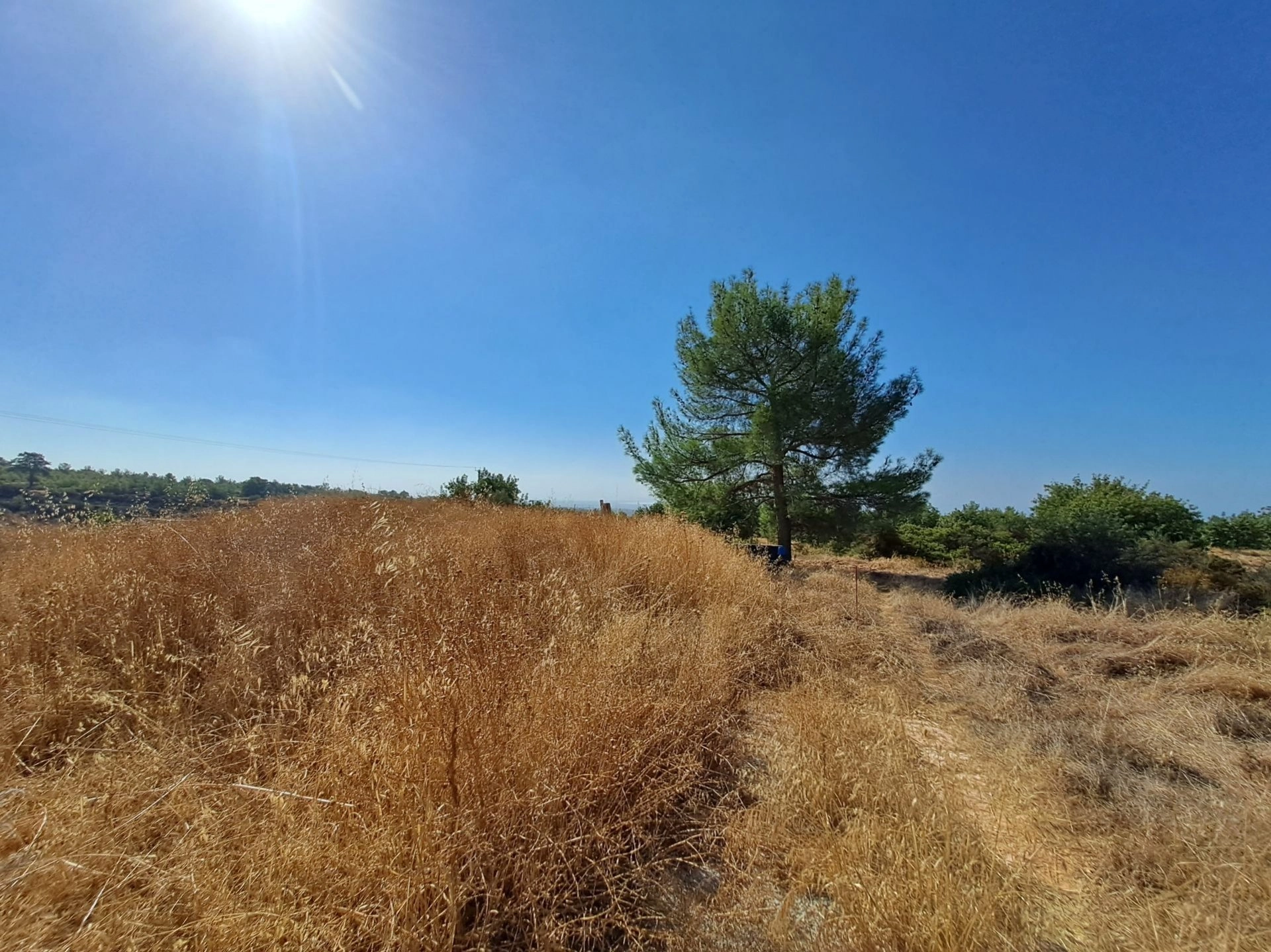 4,000m² Plot for Sale in Limassol District