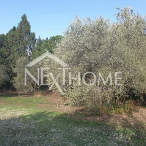 5,176m² Plot for Sale in Anglisides, Larnaca District