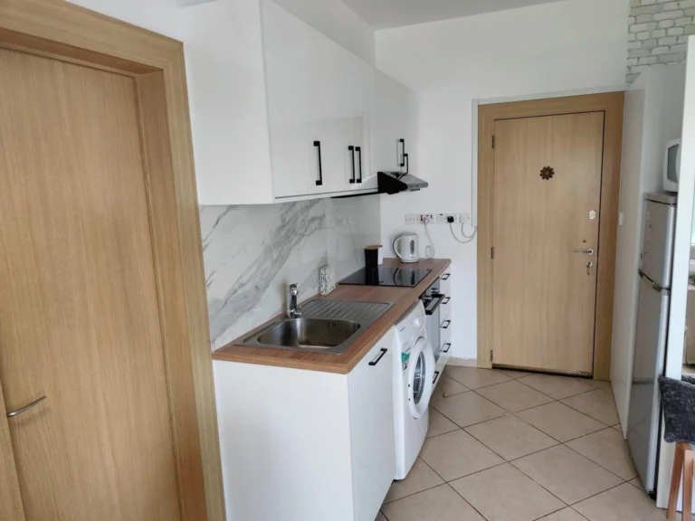 Studio Apartment for Rent in Mouttagiaka Tourist Area, Limassol District