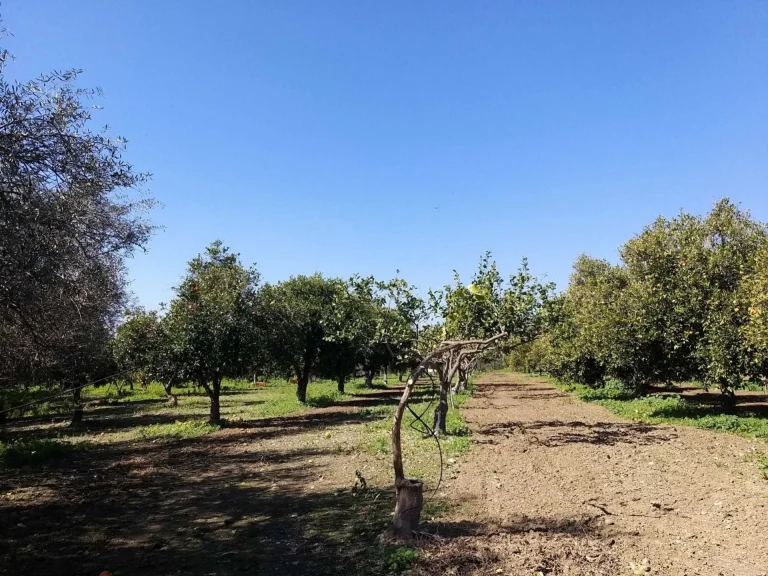 51,088m² Plot for Sale in Moni, Limassol District