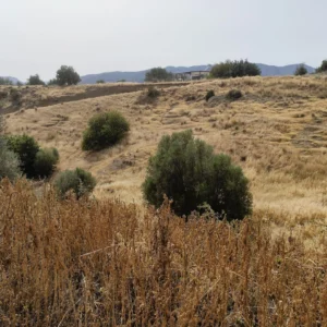 409m² Plot for Sale in Parekklisia, Limassol District