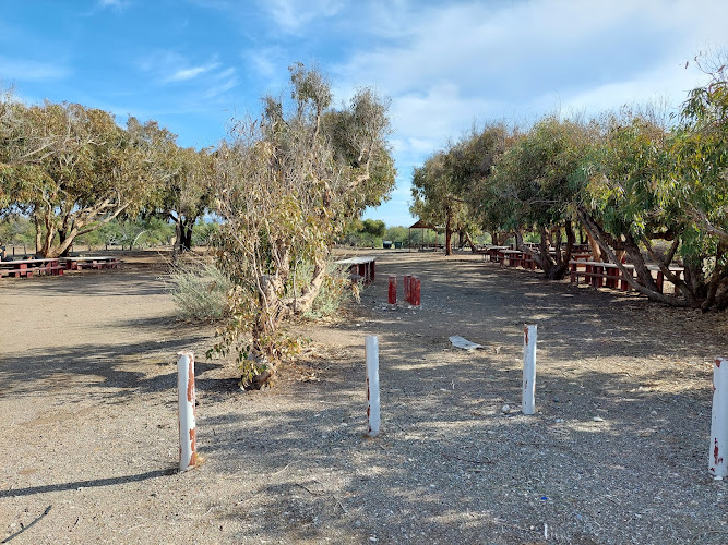 Timi Picnic site
