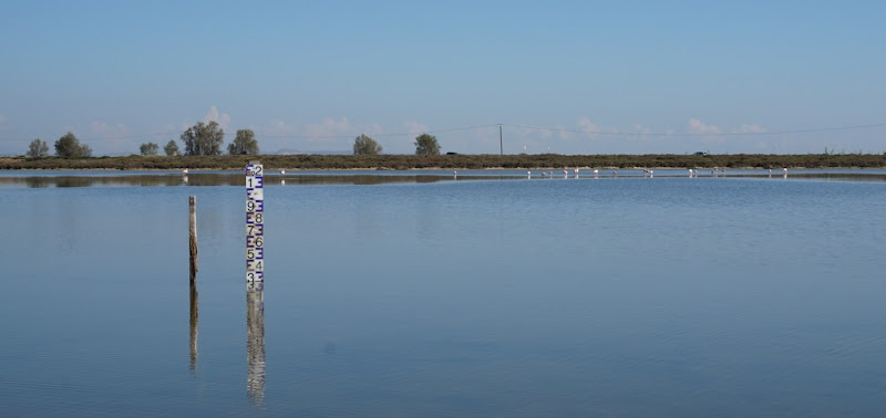 Orfani Salt Lake