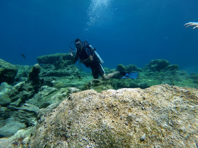 Aquanaut Diving School