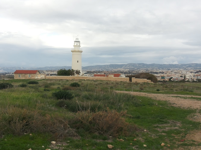 Paphos Mosaics