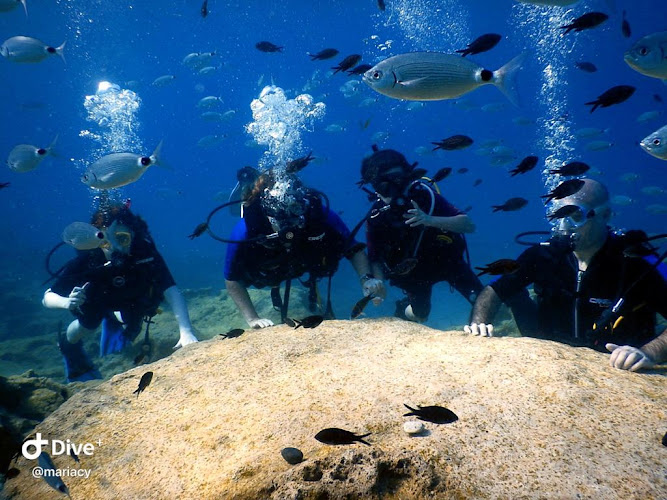 Cyprus Diving Center – Tauchen auf Zypern