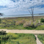 Parks in Larnaca