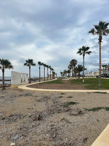 Palm alley