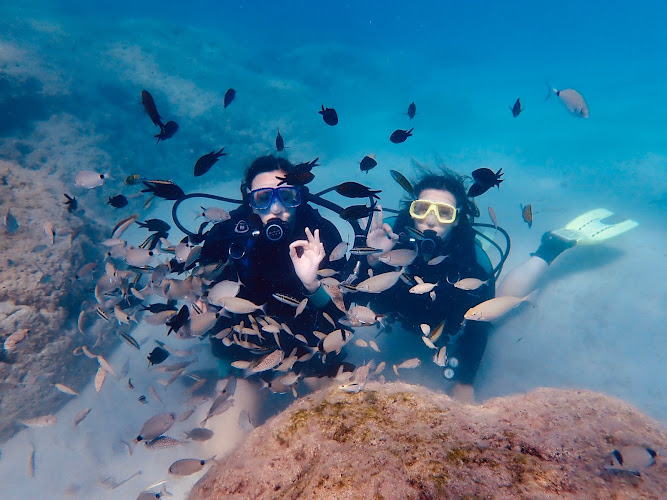 Taba Diving Centre