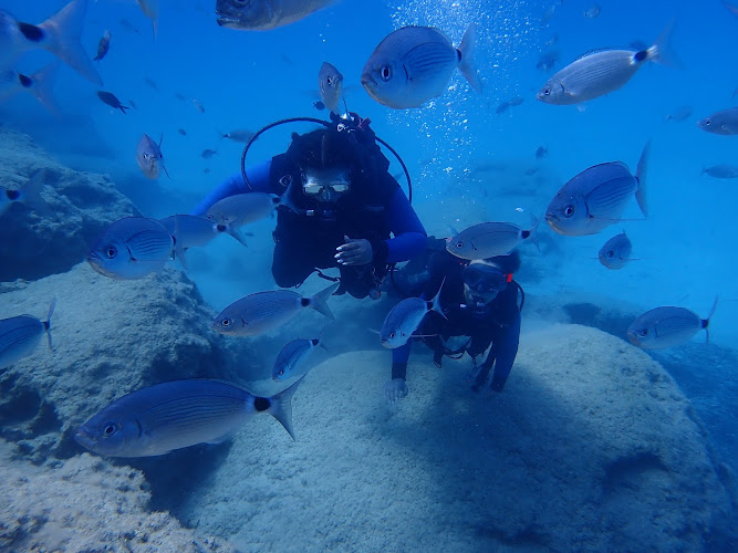 Just Scuba Diving Centre