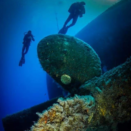 Coral Bay Divers