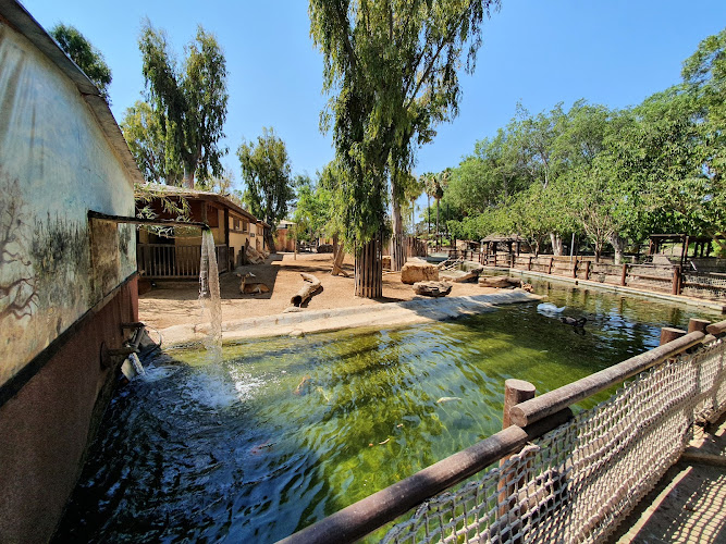 Municipal Zoo