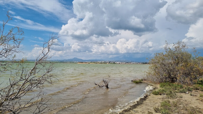 Salt Lake View Point
