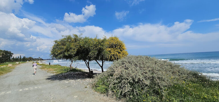 Spiros Beach